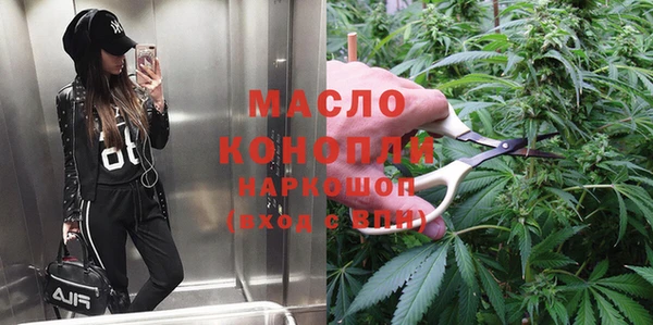 твердый Михайлов
