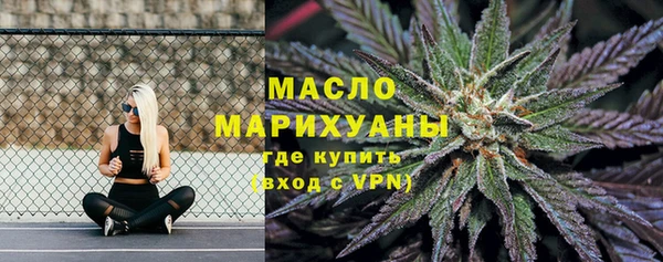 твердый Михайлов