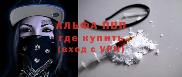 твердый Михайлов