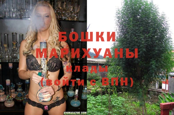 твердый Михайлов