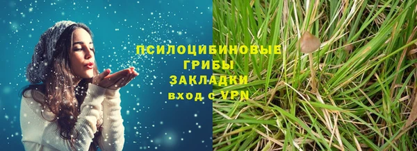 твердый Михайлов