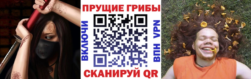 Купить  Мглин  Псилоцибиновые грибы Magic Shrooms 